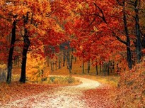 Fall 1072821 340 1505484740 495 1505744013 9529