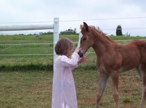 Amber with baby horse